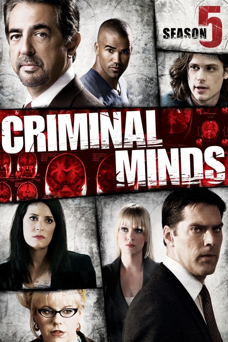 Mentes Criminosas: Temporada 5