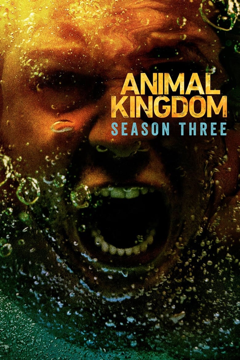 Animal Kingdom: Temporada 3