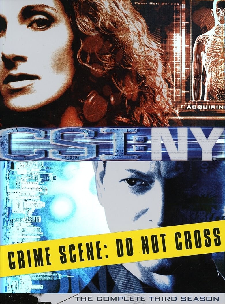 CSI: Nova York: Temporada 3