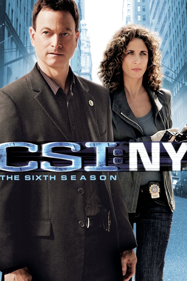 CSI: Nova York: Temporada 6