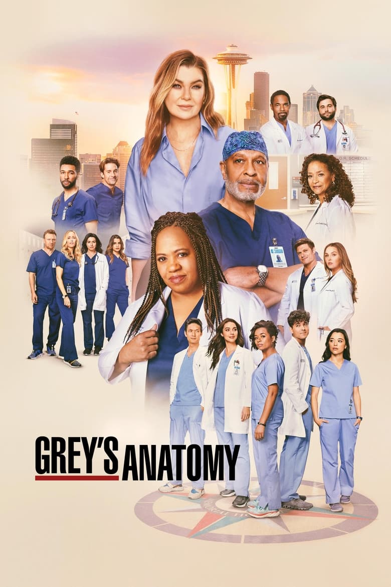 Grey’s Anatomy: Temporada 21