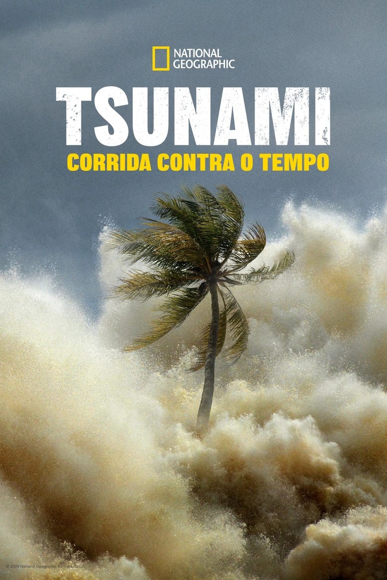 Tsunami: Corrida Contra o Tempo: Temporada 1